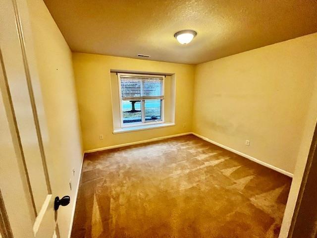 empty room with carpet flooring and a textured ceiling