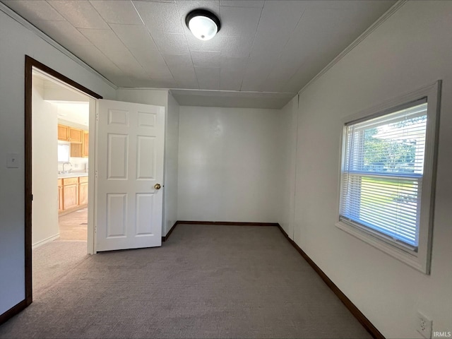 carpeted empty room featuring crown molding