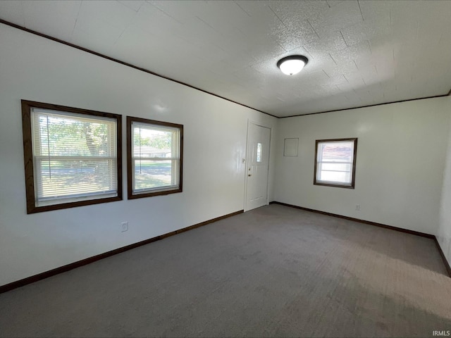 unfurnished room with a healthy amount of sunlight and carpet floors