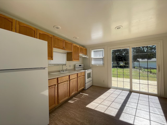 kitchen featuring white appliances, sink, a wealth of natural light, and dark wood-type flooring