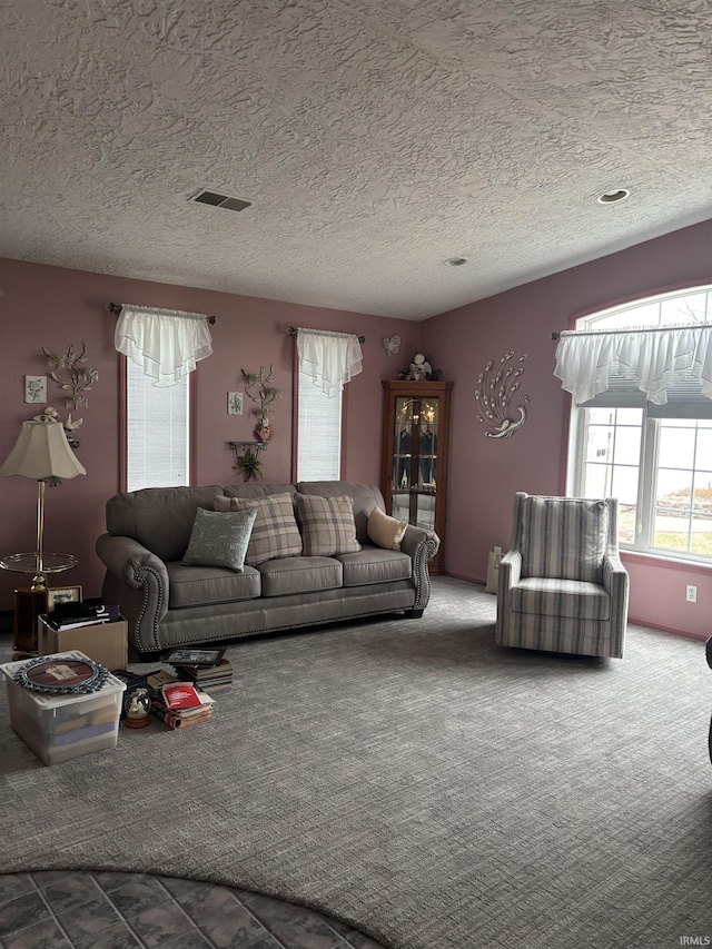 living room with carpet floors and a textured ceiling