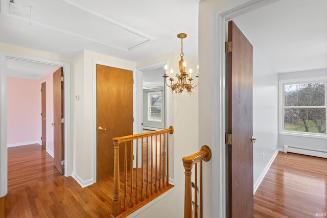 corridor with an inviting chandelier, hardwood / wood-style flooring, and a baseboard radiator