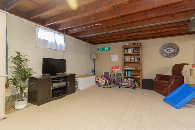 basement with carpet