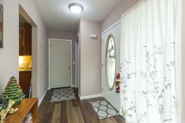 entryway featuring dark wood-type flooring