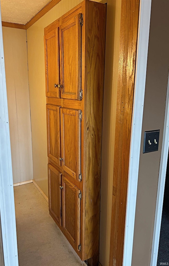 corridor featuring light colored carpet and crown molding