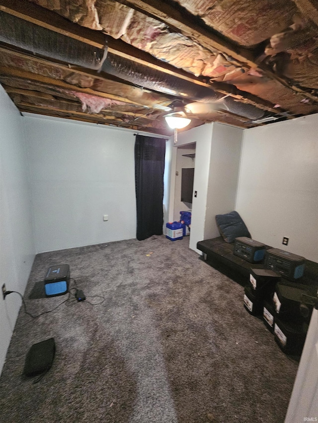 basement featuring carpet floors