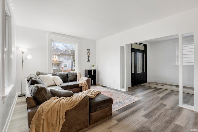 living room with wood-type flooring