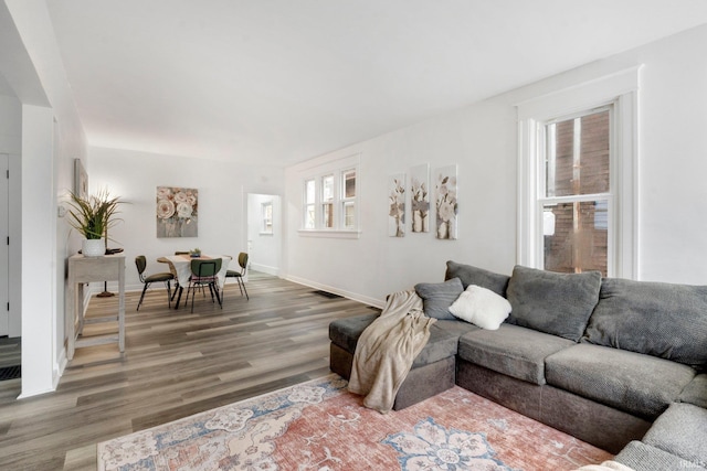 living room featuring hardwood / wood-style floors