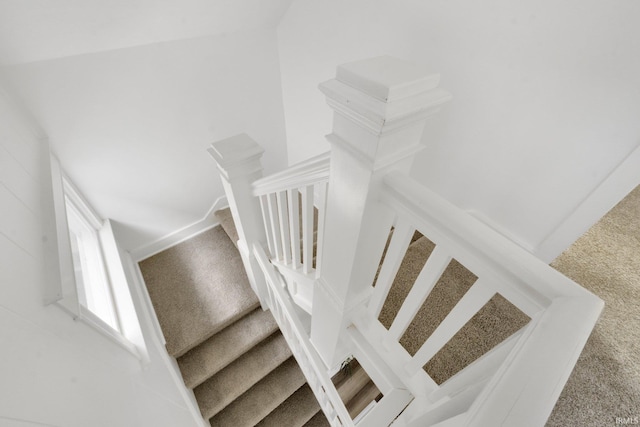 stairway featuring carpet floors