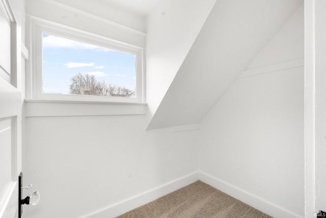 walk in closet with carpet floors