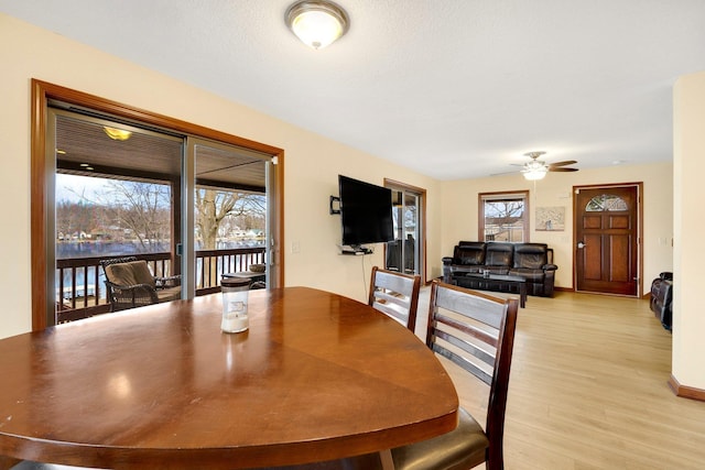 dining room featuring ceiling fan and light hardwood / wood-style floors