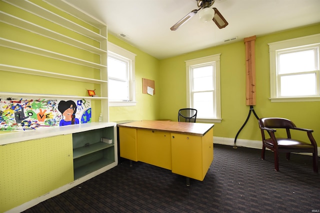 carpeted office space featuring plenty of natural light and ceiling fan