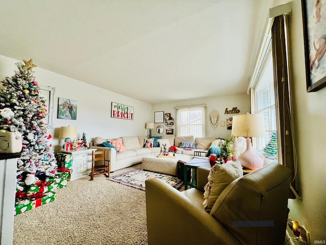 living room featuring carpet floors