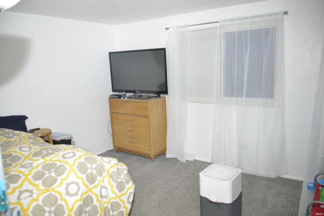 bedroom with light colored carpet