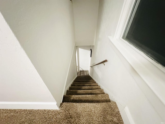 staircase with carpet