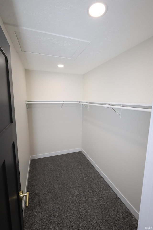 spacious closet featuring carpet floors