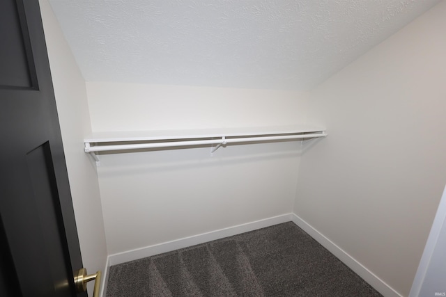 walk in closet with carpet floors and vaulted ceiling