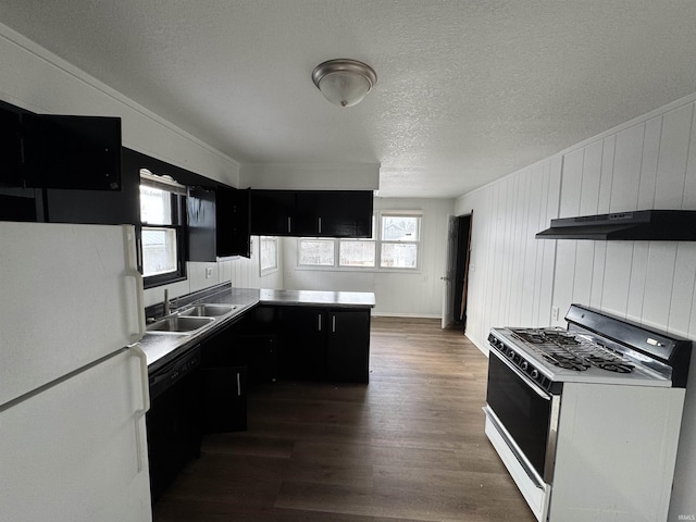 kitchen with sink, white appliances, a wealth of natural light, and exhaust hood