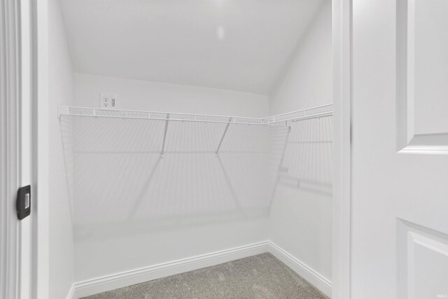 spacious closet featuring carpet flooring and lofted ceiling