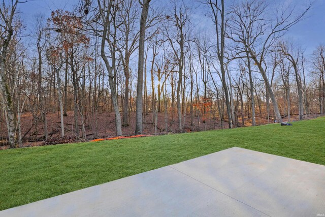 view of yard featuring a patio area