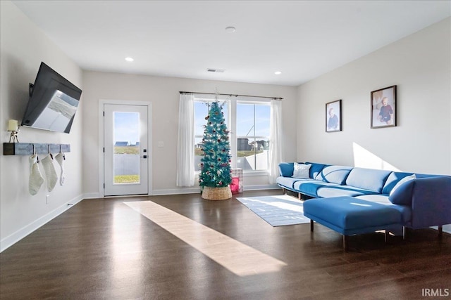 living room with dark hardwood / wood-style floors