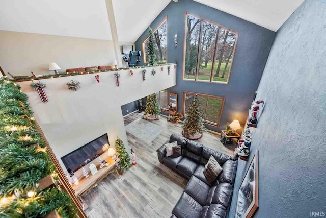 living room with hardwood / wood-style floors and vaulted ceiling