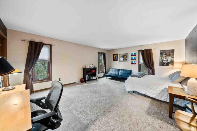 view of carpeted bedroom