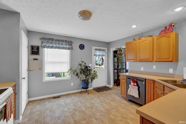 kitchen featuring range, a textured ceiling, stainless steel dishwasher, and sink