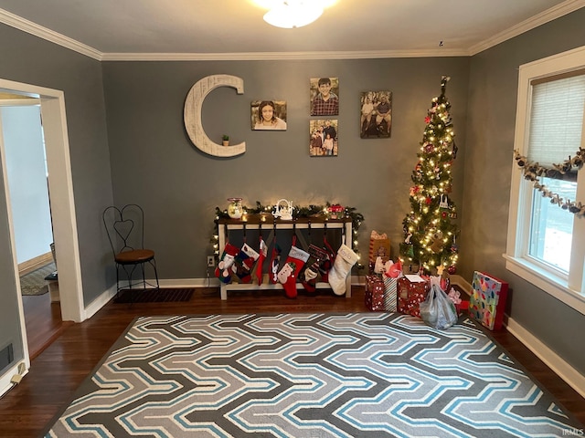 rec room featuring dark hardwood / wood-style floors and ornamental molding