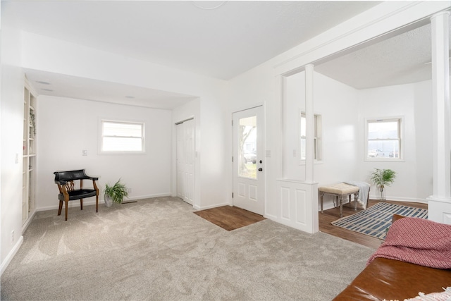 foyer with light carpet and plenty of natural light