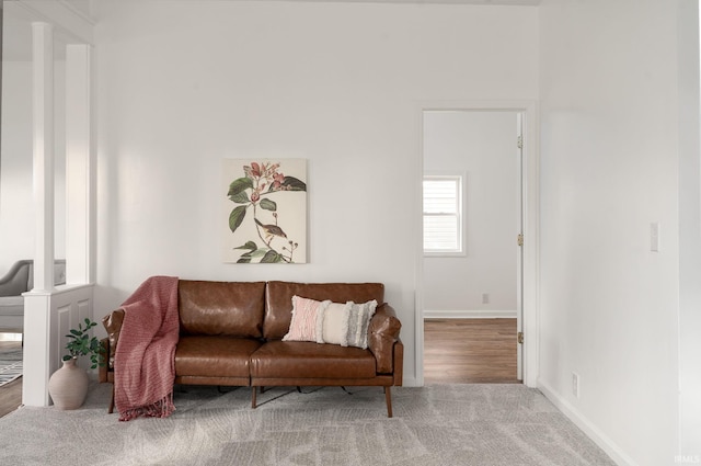 living room featuring light carpet