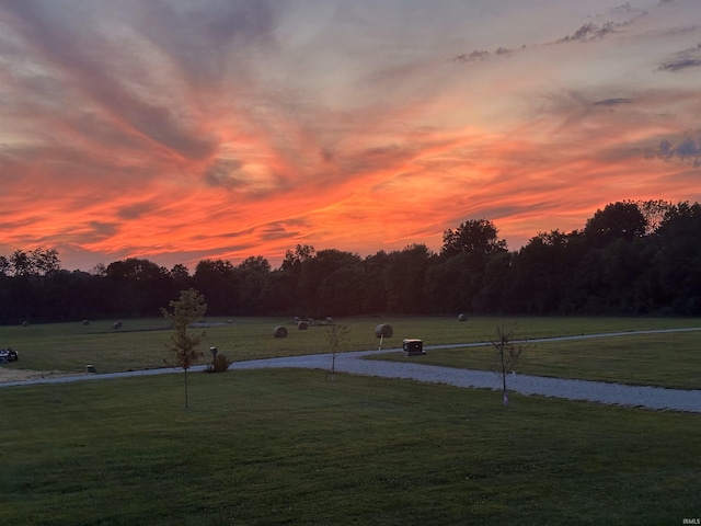 view of yard at dusk