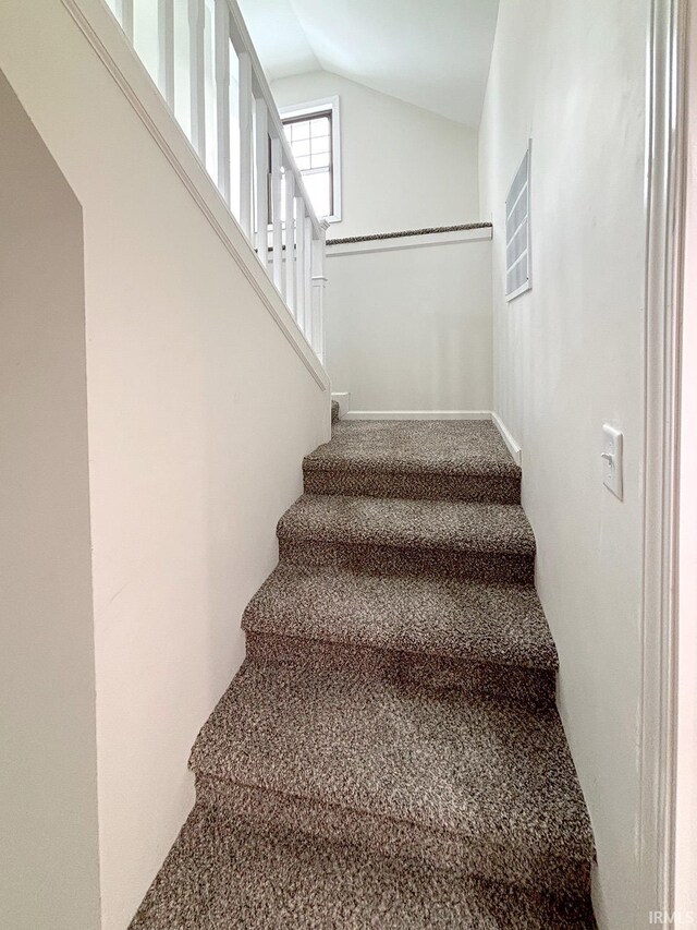 stairway featuring carpet and vaulted ceiling