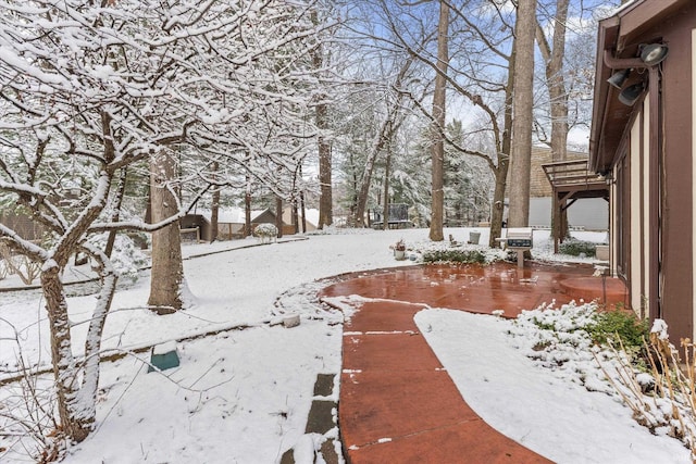 view of yard layered in snow