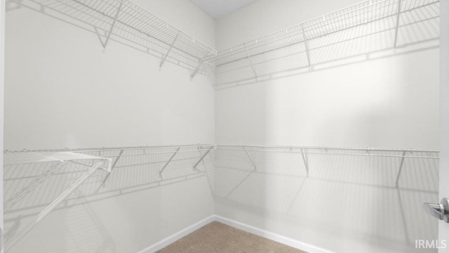 walk in closet with carpet
