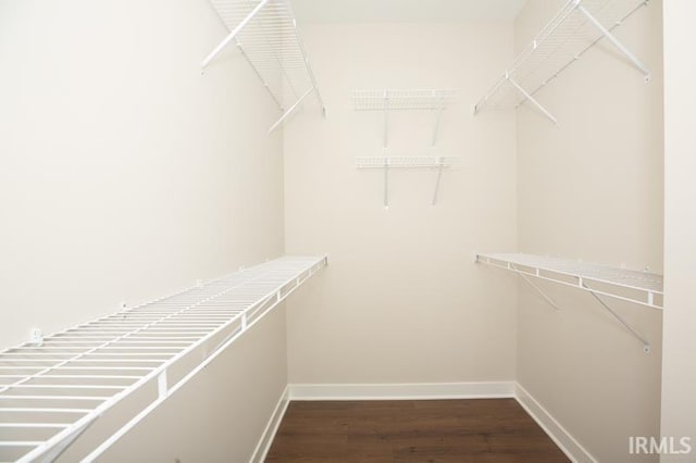 walk in closet with dark hardwood / wood-style flooring