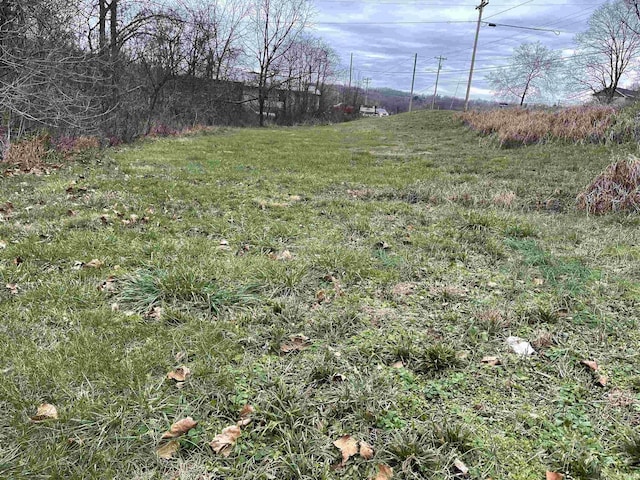 Listing photo 2 for W Hospital Rd, Paoli IN 47454