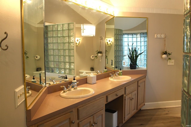 bathroom with wood-type flooring and vanity