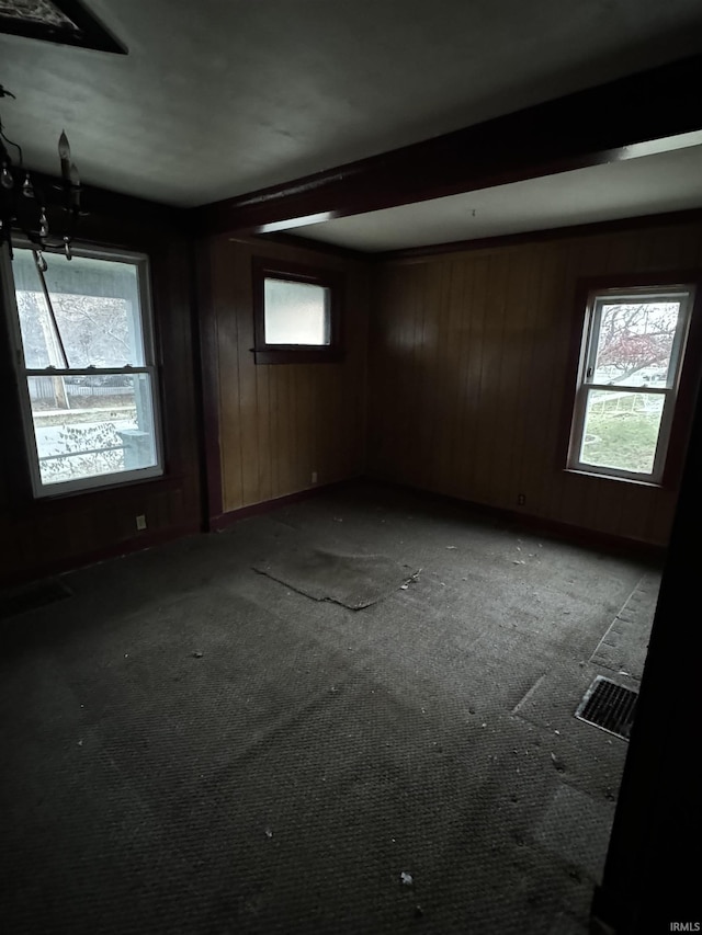 empty room featuring a healthy amount of sunlight and wooden walls