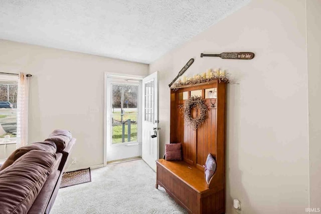 interior space featuring light colored carpet and a textured ceiling