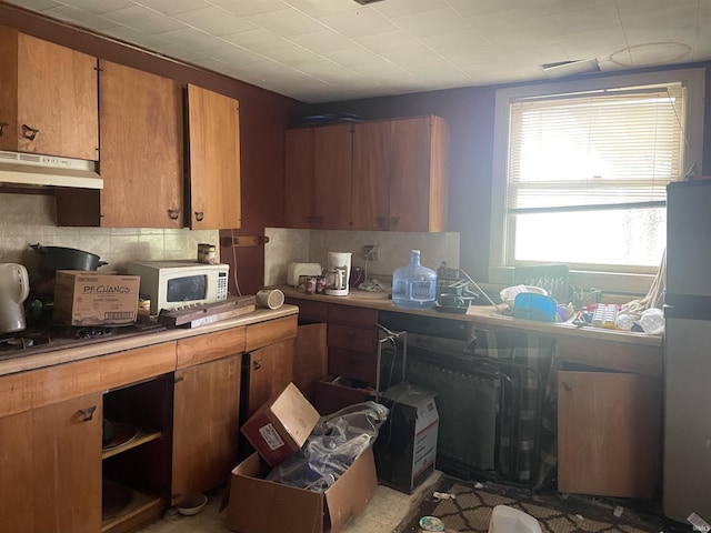 kitchen with gas cooktop, ventilation hood, and tasteful backsplash