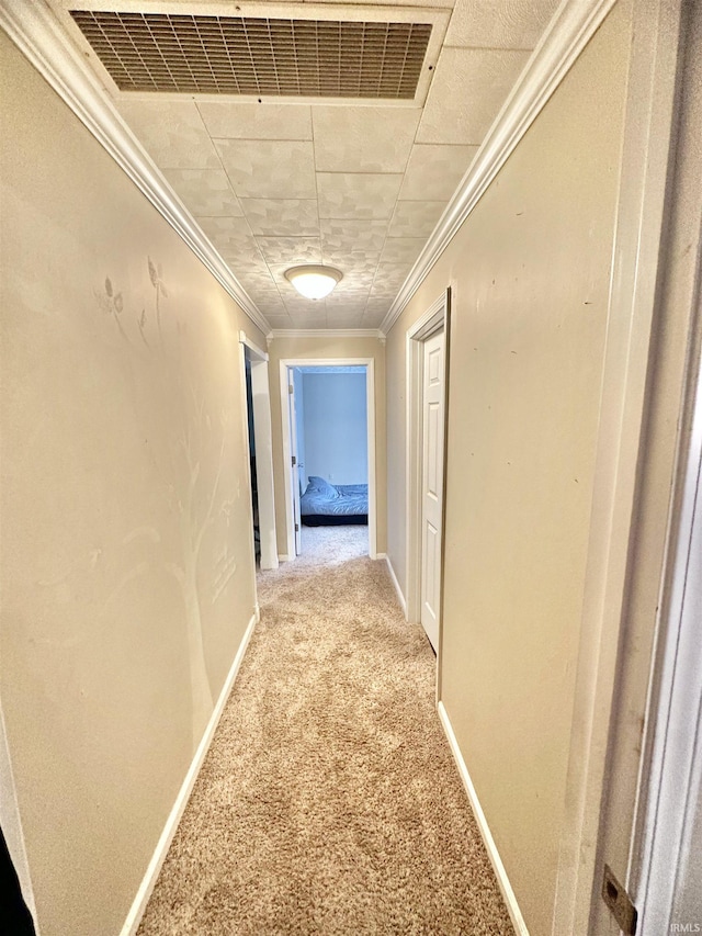 hallway with carpet flooring and ornamental molding