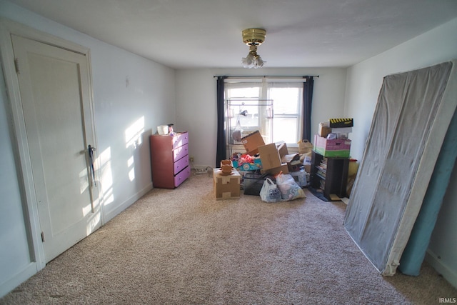 misc room featuring carpet floors