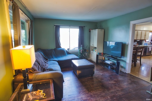 living room with dark wood-type flooring