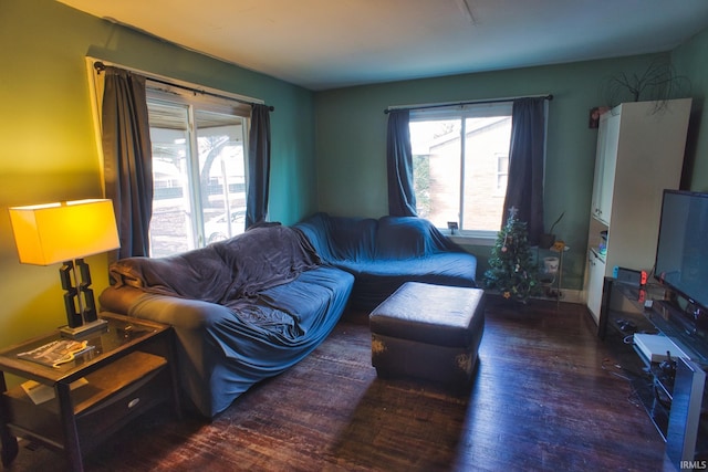 living room with dark wood-type flooring