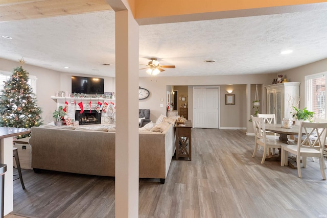 living room featuring wood-type flooring, a textured ceiling, and ceiling fan