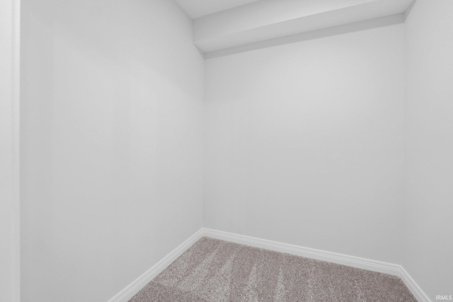 spare room featuring carpet floors