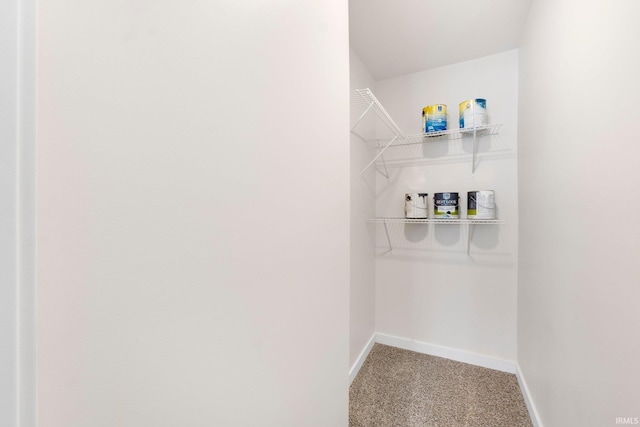 walk in closet featuring carpet floors