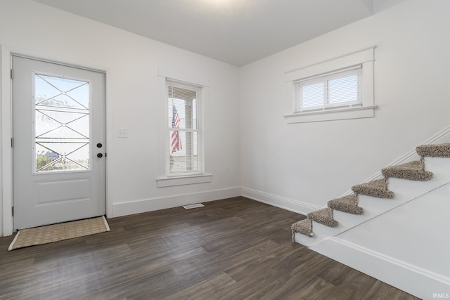 foyer entrance featuring dark wood-type flooring