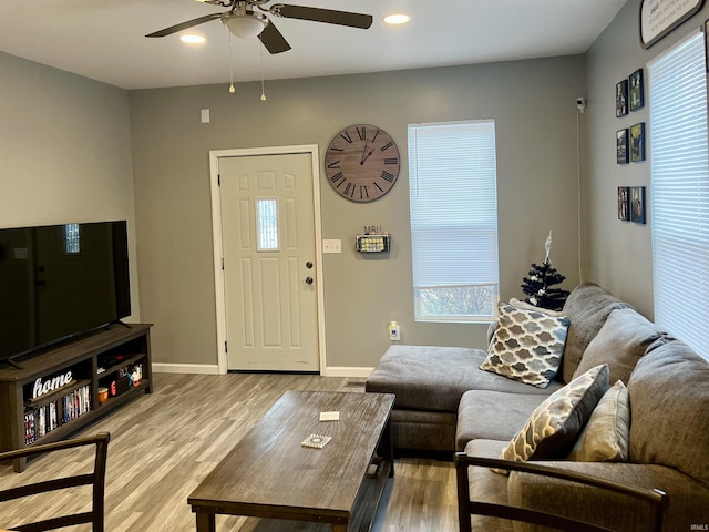 living room featuring ceiling fan and light wood-type flooring